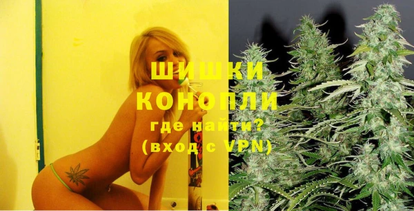 тгк Бородино