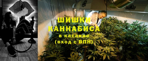 твердый Бронницы