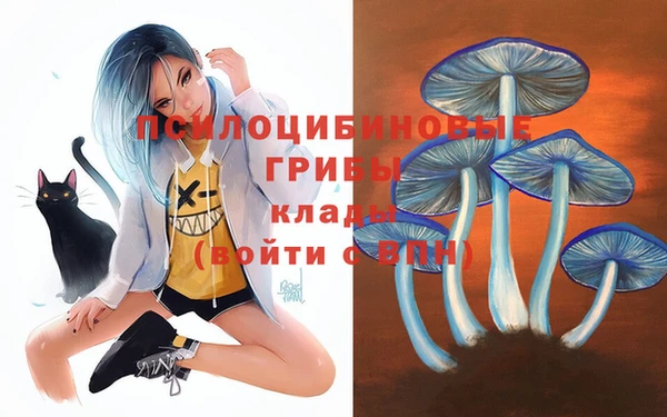 твердый Бронницы