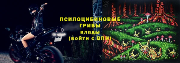 тгк Бородино