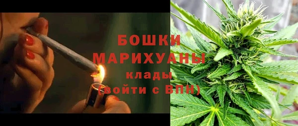 твердый Бронницы