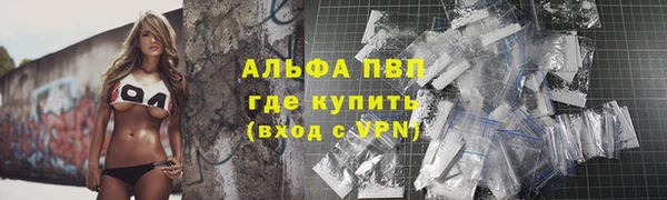 тгк Бородино